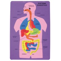 Puzzle goma eva El Sistema Digestivo