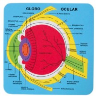 Puzzle goma eva El Sistema Ocular