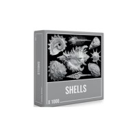 Puzzle Shells 1000 Piezas